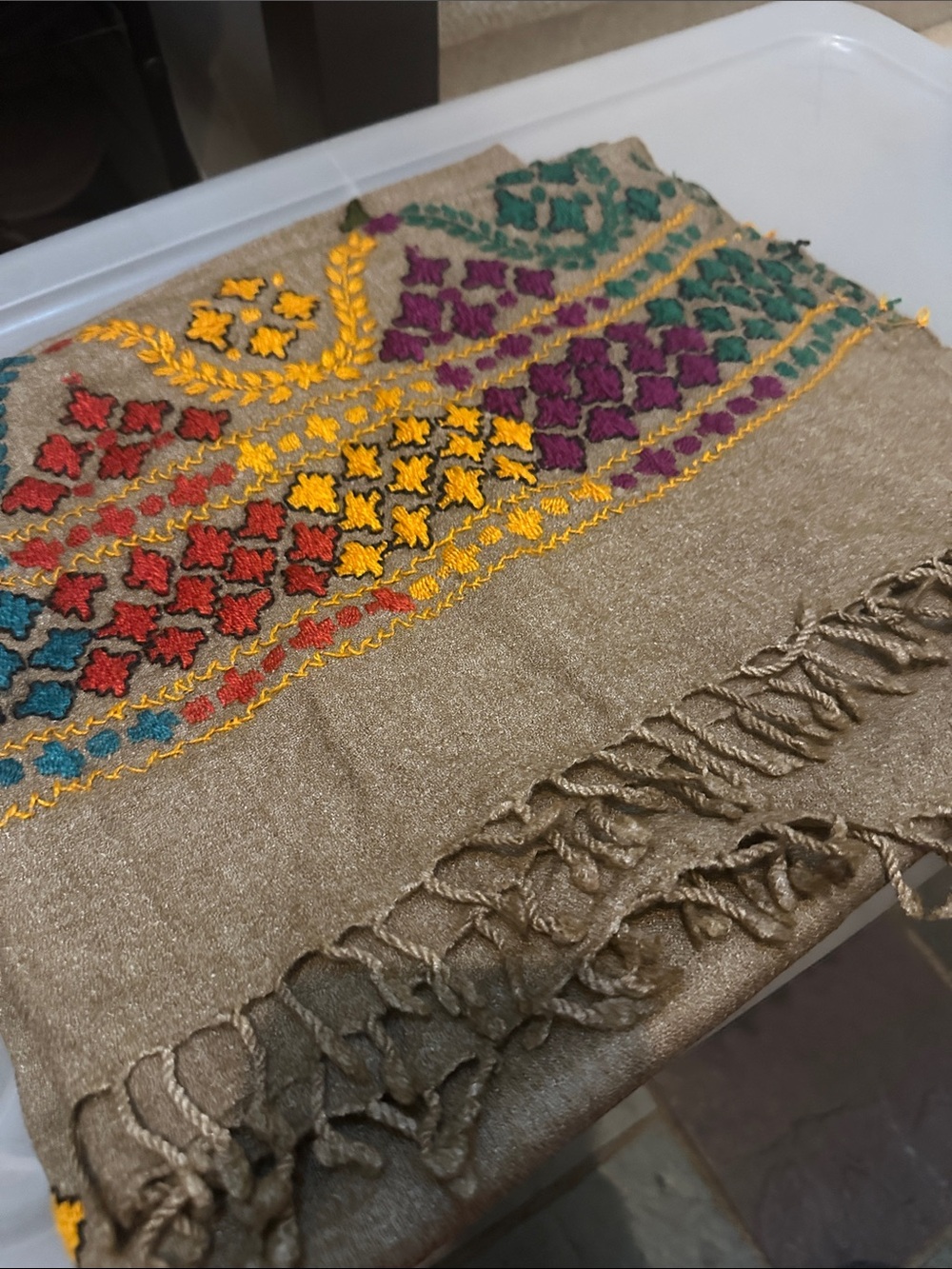 Embroidered Beige Shawl with Multicolor Floral Motifs - Picture 3 of 3